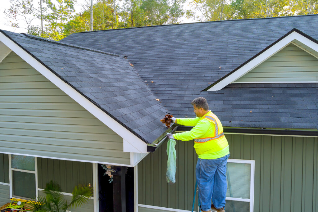 Roof Cleaning